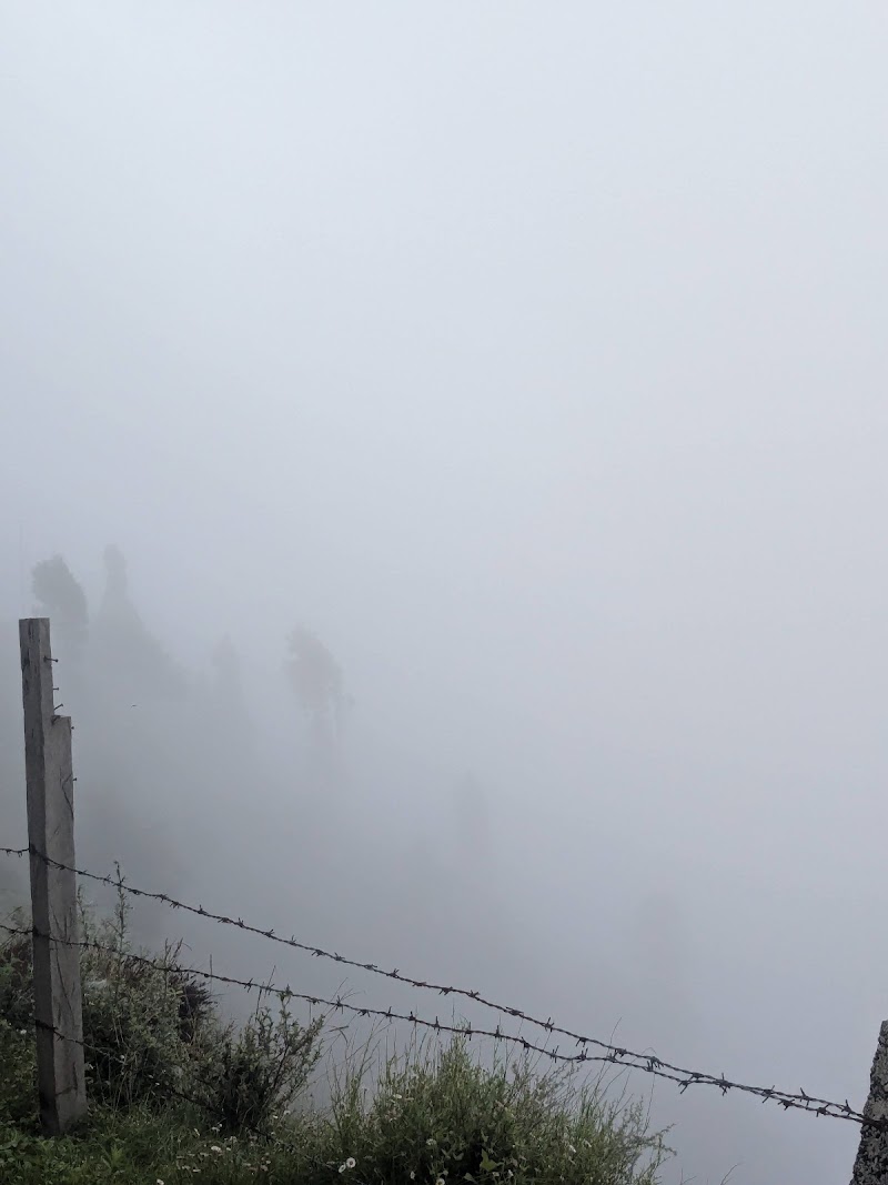 Chakrata Trek and Tours - Chakrata Trek and Tours, Village Jadi, near Deoban, Chakrata C/O, Adventure Park, Chakrata, Jadi, Uttarakhand 248123, India