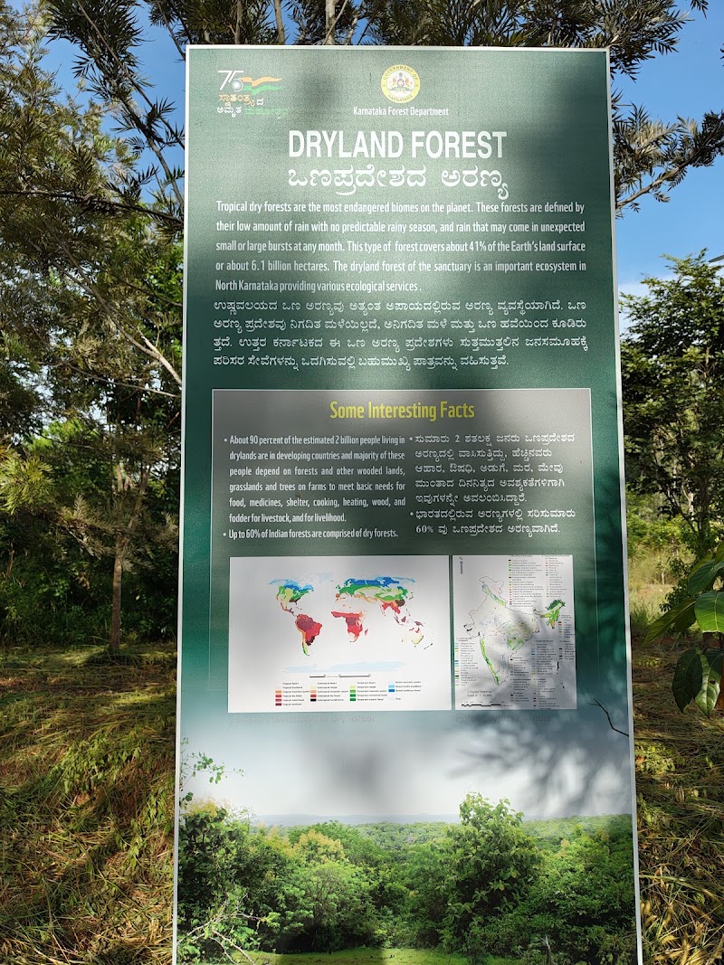 Avalahalli Forest - Avalahalli Forest 4GJW+7J6, Jarakbandekaval, Karnataka 560119, India