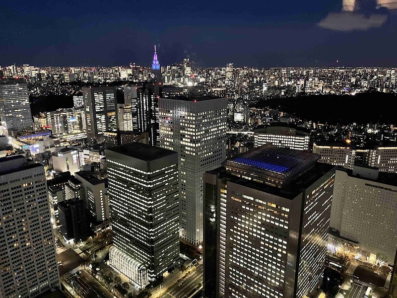 Tokyo Metropolitan Government Building | North Observation Deck - Tokyo Metropolitan Government Building | North Observation Deck Japan, 〒163-8001 Tokyo, Shinjuku City, Nishishinjuku, 2-chōme−8−１ Tochomae Station, 45F