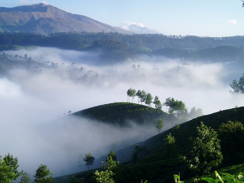 Letchimi hills half day trekking - Letchimi hills half day trekking, Old, sevenmalai estate, near lions school Ksrtc bus stand, Munnar, Keralam 685612, India