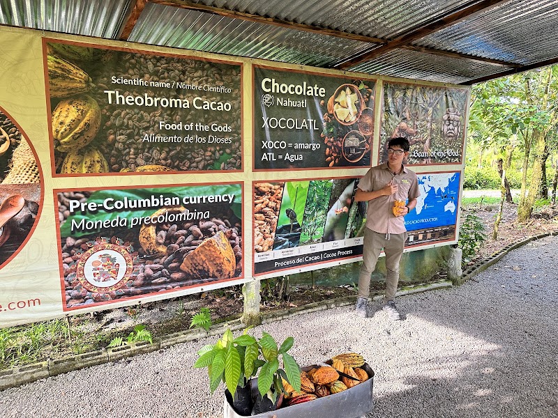 North Fields Coffee and Chocolate Tour - North Fields Coffee and Chocolate Tour, C. 506, Provincia de Alajuela, San Carlos, 21007, Costa Rica