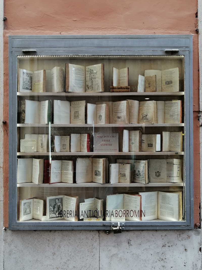 Libreria Antiquaria Borromini - Libreria Antiquaria Borromini, Via degli Orfani, 91, 00186 Roma RM, Italy