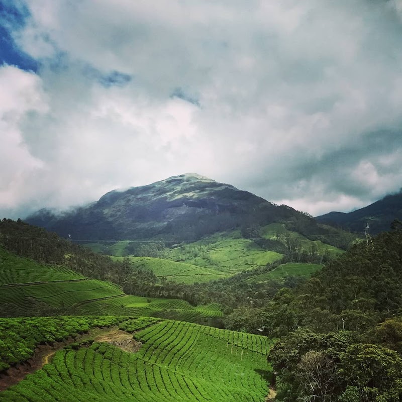 Eravikulam National Park - Eravikulam National Park Kannan Devan Hills, Kerala 685612, India