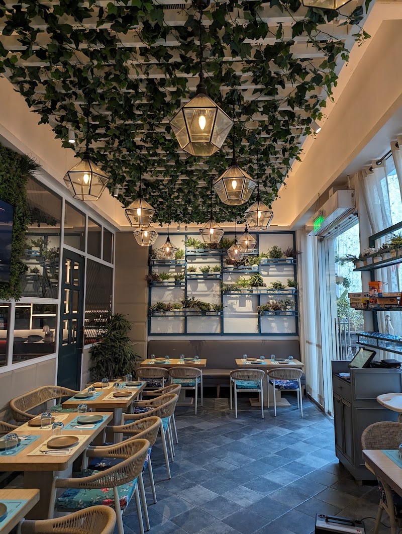 Laidback Cafe - M3M International Financial Center