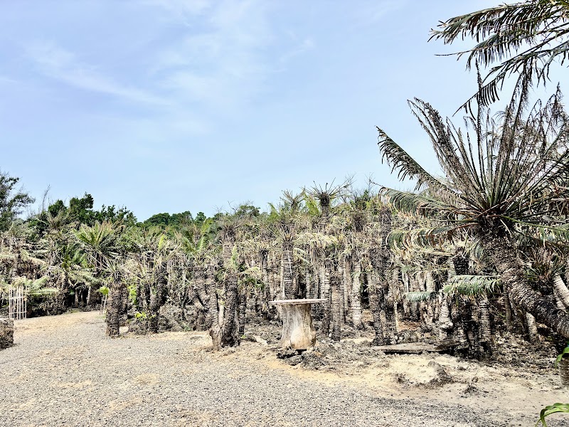 Pitogo Cliff Nature Park - Pitogo Cliff Nature Park, San Juan, Siquijor, Philippines
