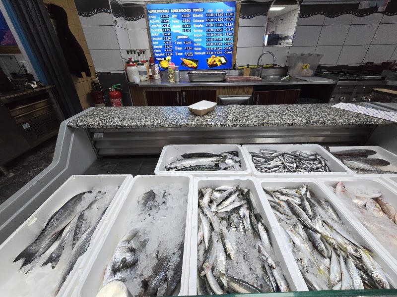 Fish palace - Fish palace, Crooswijkseweg 86, 3034 HM Rotterdam, Netherlands