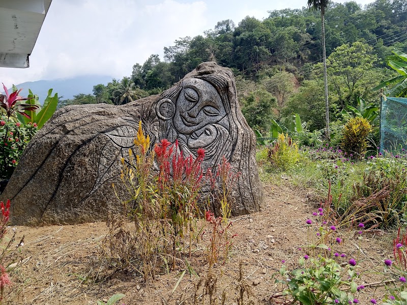 Wayanad Adventure Camp - Wayanad Adventure Camp Wayanad, Kerala 673575, India