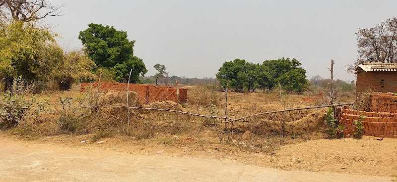 Negipali School, Bisora, NUAPADA, Odisha, IND 766104 - Negipali School, Bisora, NUAPADA, Odisha, IND 766104, 2J3C+23V, school, Negipali, Doto, Odisha 766104, India