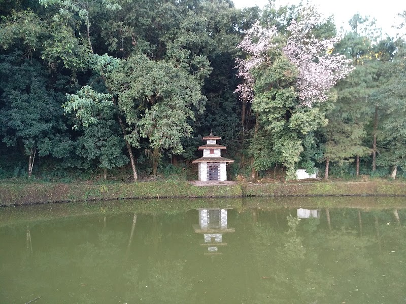 Dhampus View Tower - Dhampus View Tower, Dhampus 33700, Nepal