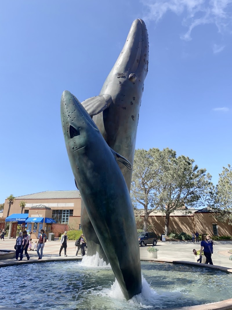 La Jolla - La Jolla, San Diego, CA, USA