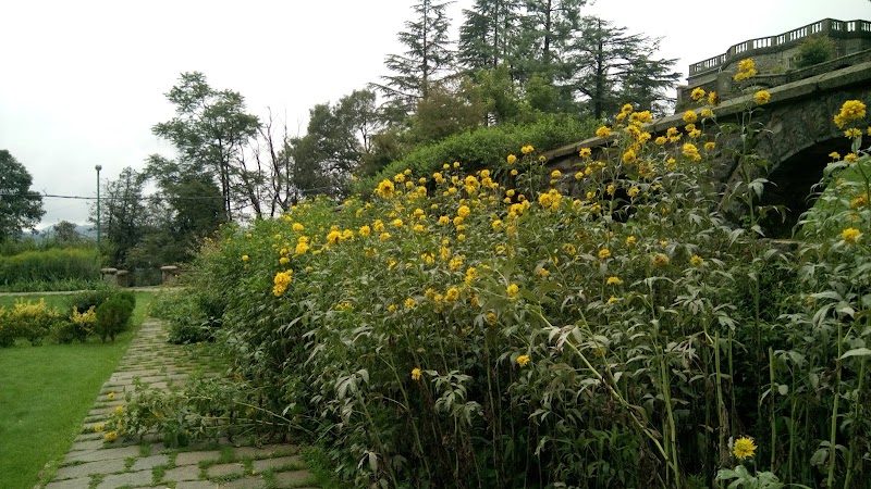 Amit Vaishno Dhaba Kangra - Amit Vaishno Dhaba Kangra near big bazzar, Adarsh Colony, Kangra, Sibkara, Himachal Pradesh 176001, India
