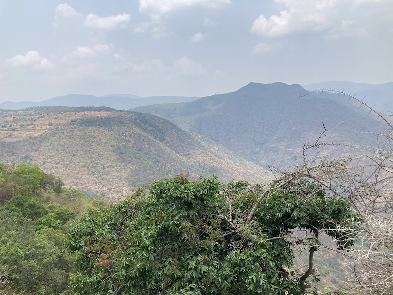 Cauvery Wildlife Sanctuary - Cauvery Wildlife Sanctuary, XMH3+J93, Chamarajanagar, Karnataka 571490, India