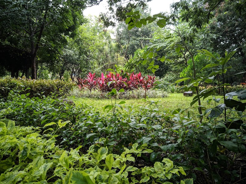 JP Nagara 1st Phase Local Park - JP Nagara 1st Phase Local Park WH5J+4H8, 11th B Cross Rd, Near - Oxford collage, Jeewan Sathi Colony, 1st Phase, J. P. Nagar, Bengaluru, Karnataka 560078, India