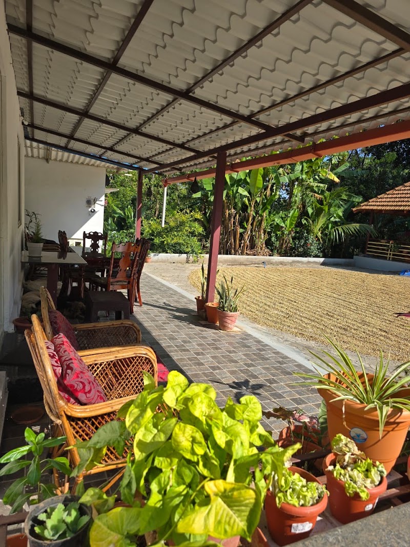 Bird tweet Homestay - Bird tweet Homestay 8PG4+65G, Chikkamagaluru, Joladalu, Karnataka 577130, India