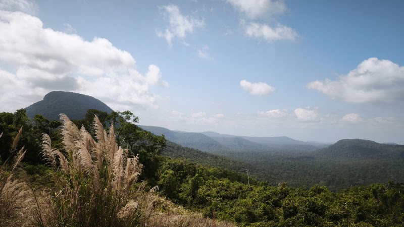 Phu Quoc National Park - Phu Quoc National Park, 82JJ+M57, Phu Quoc, An Giang, Vietnam