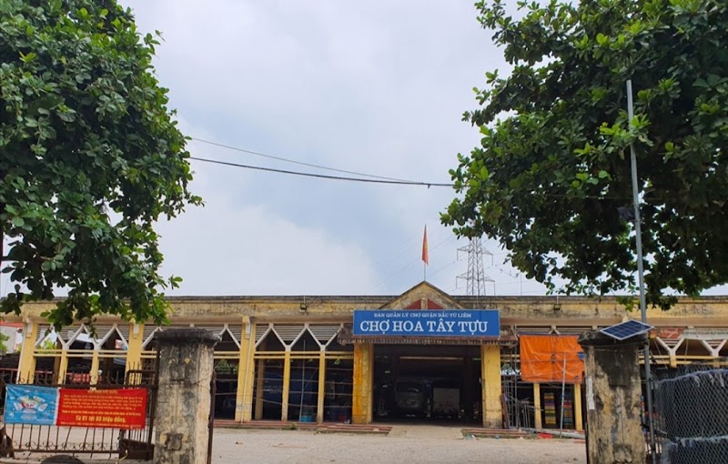 Tây Tựu Flower Market - Tây Tựu Flower Market, 3P8H+XQ5, Tây Tựu, Hà Nội, Vietnam