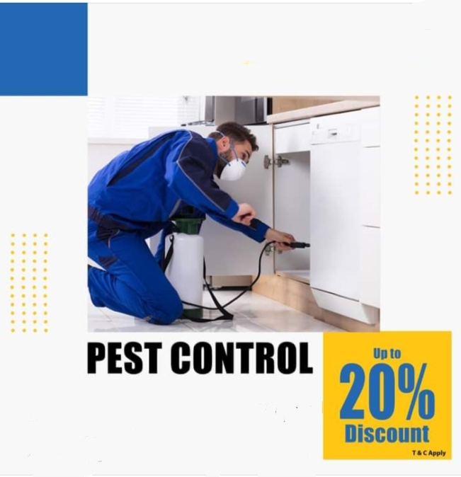 Bed bug control services - Bed bug control services, 329/9, 1st Main Rd, Chandra Reddy Layout, Teachers Colony, Koramangala, Bengaluru, Karnataka 560102, India