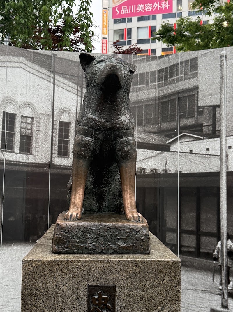Hachiko Statue - Hachiko Statue 2 Chome-1 Dogenzaka, Shibuya, Tokyo 150-0043, Japan