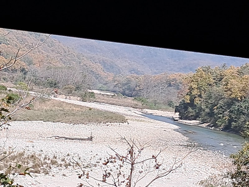 Dhikala Canter Safari - Dhikala Canter Safari G3GX+GFG Jim Corbett National Park, Dhangari, Bijrani Range, Dogadda Range, Uttarakhand 244715, India