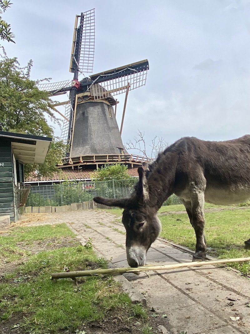 Chalk Mill d'Admiral (1792) - Chalk Mill d'Admiral (1792) Noordhollandschkanaaldijk 21, 1034 ZL Amsterdam, Netherlands