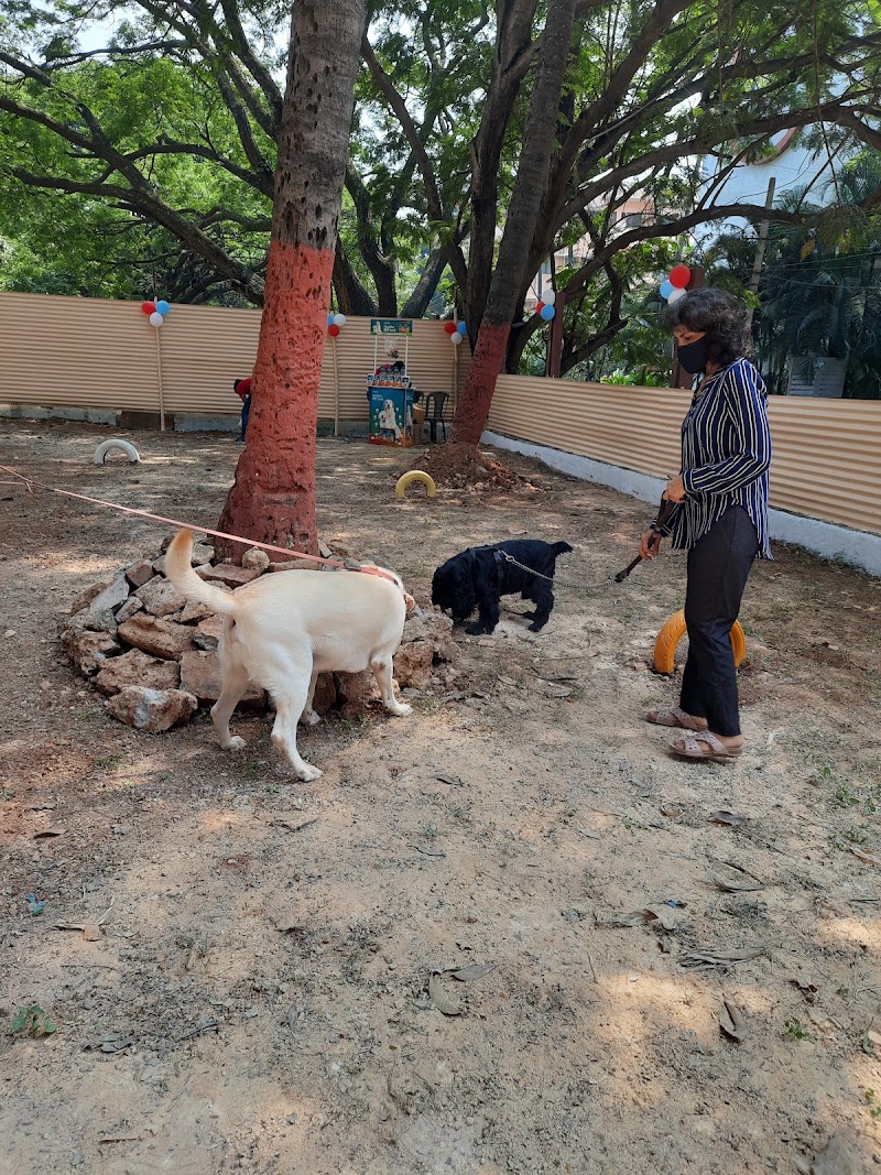 Domlur Dog Park - Domlur Dog Park, XJ6P+CM6, Domlur I Stage, 1st Stage, Domlur, Bengaluru, Karnataka 560071, India