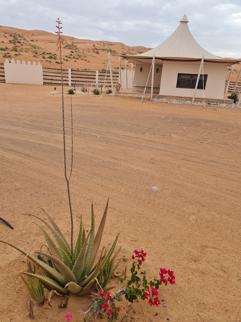 Desert Nights Camp - eleven Km to camp - Desert Nights Camp - eleven Km to camp, GP2X+FV2, Al Wasil, Oman