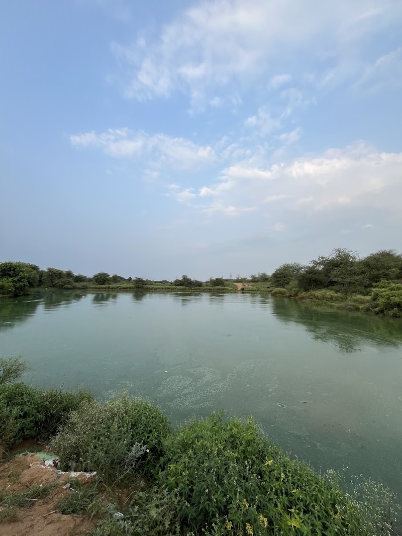 Leopard Trail View - Leopard Trail View 9X5W+7VW, Gurugram, Haryana 122101, India