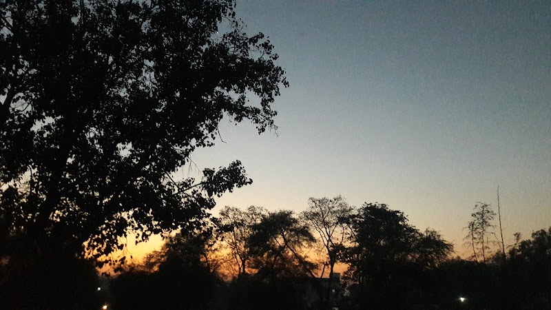 Megha - Megha, Chhattisgarh 493662, India