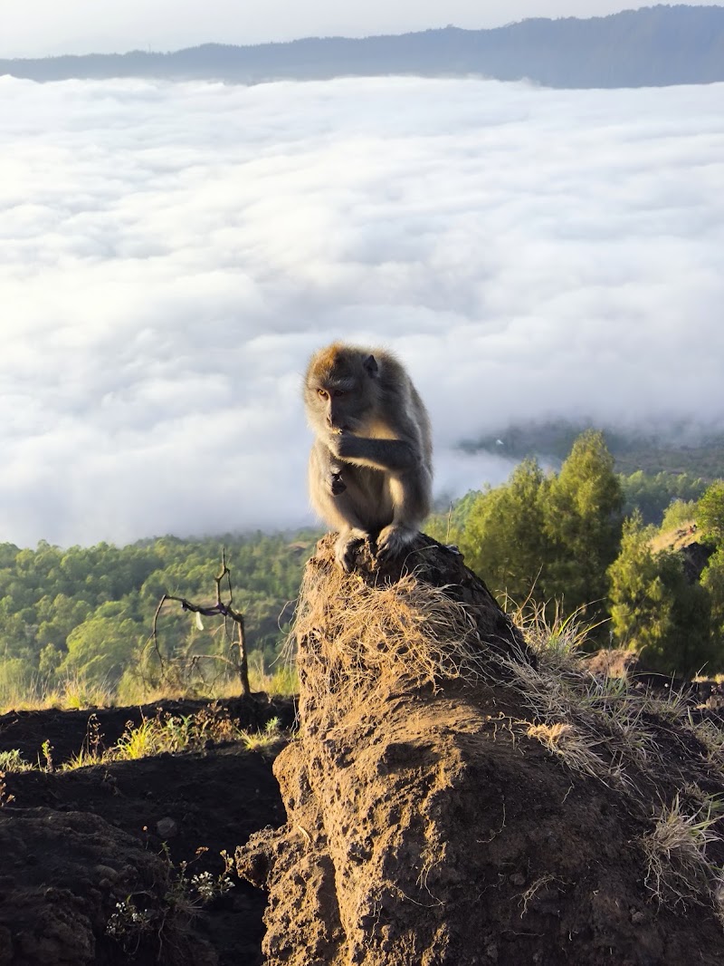 Mount Batur sunrise Trekking - Mount Batur sunrise Trekking Jalan batur selatan, Batur Tengah, Kec. Kintamani, Kabupaten Bangli, Bali 80352, Indonesia