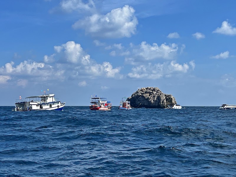 Discovery Divers Pier location - Discovery Divers Pier location 60/10 Moo 4, ตำบล บ่อผุด Koh Samui, สุราษฎร์ธานี 84320, Thailand