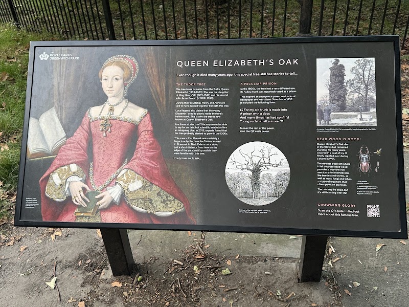Queen Elizabeth I Oak - Queen Elizabeth I Oak London SE10 9NN, UK