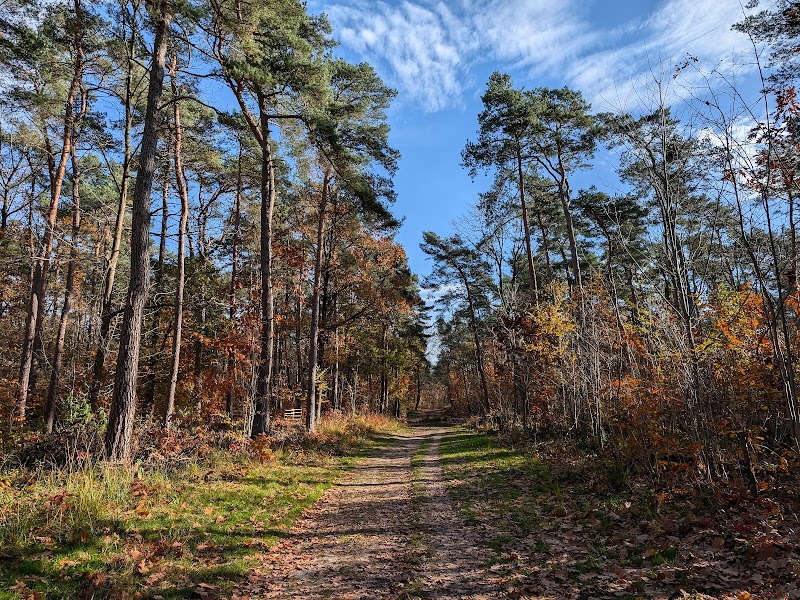 National Park Hoge Kempen - National Park Hoge Kempen, 3630 Maasmechelen, Belgium