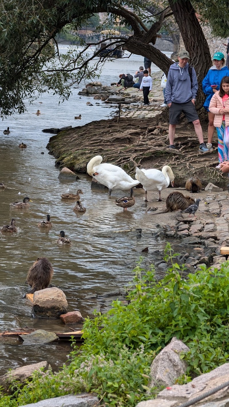 Park Cihelná - Park Cihelná Cihelná 118 00, Malá Strana, 118 00 Praha-Praha 1, Czechia