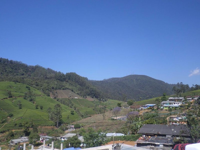 The Train View - The Train View, Edinburgh Estate road, Nuwara Eliya 22200, Sri Lanka