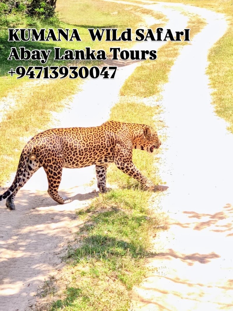 Arugambay Lanka Tours ~TAXI & KUMANA SAFARI - Arugambay Lanka Tours ~TAXI & KUMANA SAFARI No 5 Main Street, Arugam Bay 32500, Sri Lanka