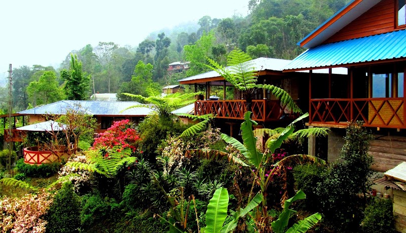 Malinggo Homestay - Malinggo Homestay Gangtok, Sikkim 737135, India