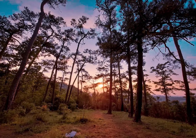 Malki Forest - Malki Forest HV5P+PJH, Unnamed Road, Malki, Shillong, Meghalaya 793003, India