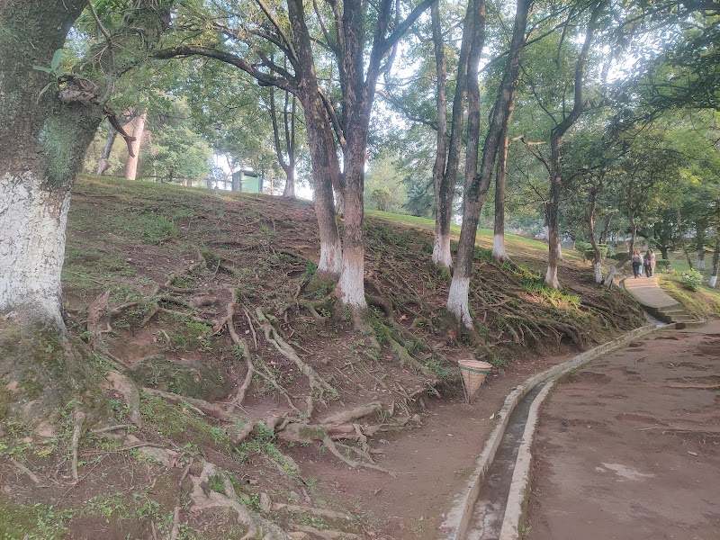 Ward’s lake - Ward’s lake HVGP+3RF, Police Bazar, Shillong, Meghalaya 793001, India