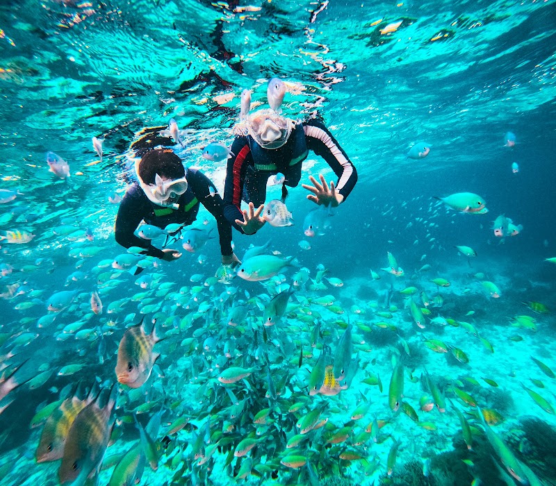 GoPanglao Travel and Tours - GoPanglao Travel and Tours, Purok 1, Tawala, Panglao, Bohol, Philippines