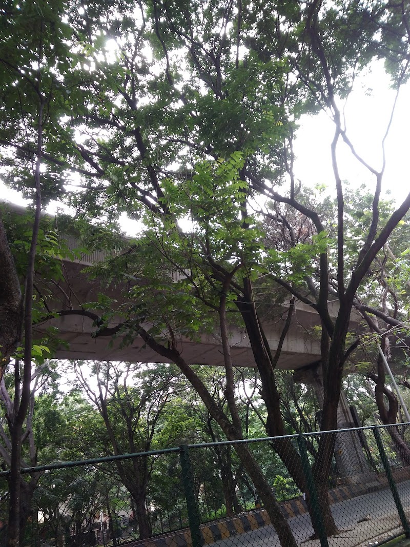 Jayanagara Kiru Kādu - Jayanagara Kiru Kādu WHFH+QXJ, 7th Block, Jayanagar, Bengaluru, Karnataka 560070, India