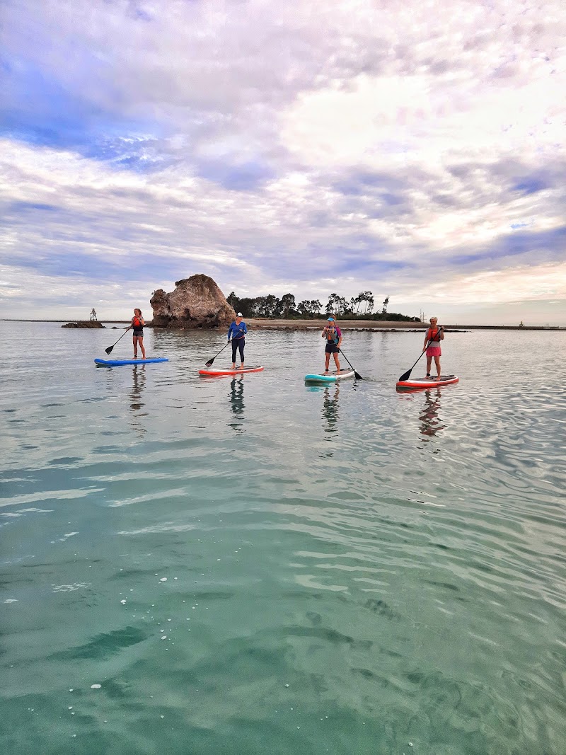 Paddle Nelson