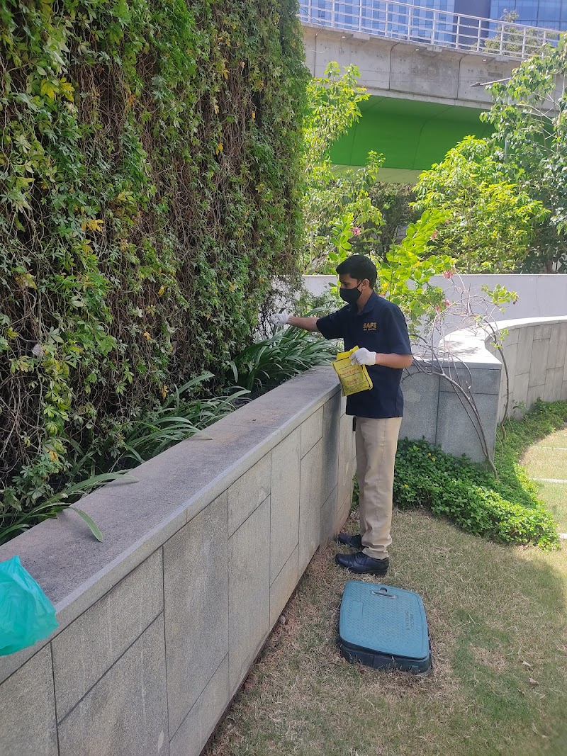 Safe Pest Control Services Pvt Ltd - Safe Pest Control Services Pvt Ltd, 53, MD Block, Ranoji Rao Road, S Cross Rd, Basavanagudi, Bengaluru, Karnataka 560004, India