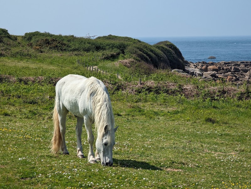 Lande de Bringwiller - Lande de Bringwiller, 51 Rte de Bringuiller, 22560 Trégastel, France