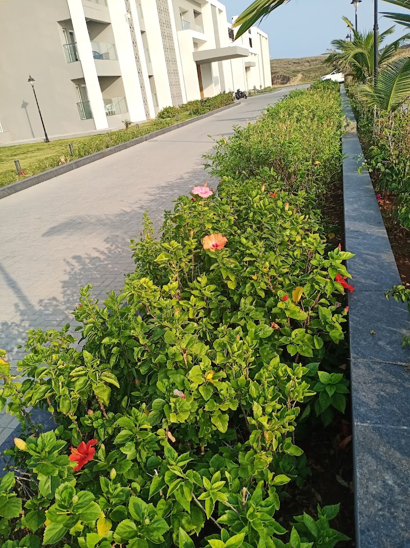 Circuit House Garden - Circuit House Garden, PX6Q+3GF, Diu, Dadra and Nagar Haveli and Daman and Diu 362520, India