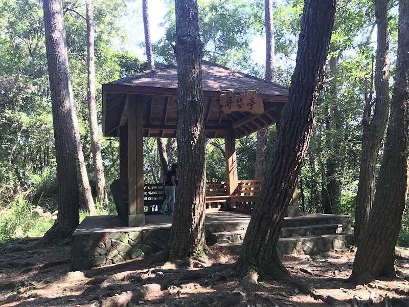Baxianshan Forest Recreation Area - Baxianshan Forest Recreation Area, Heping District, Taichung City, Taiwan 424