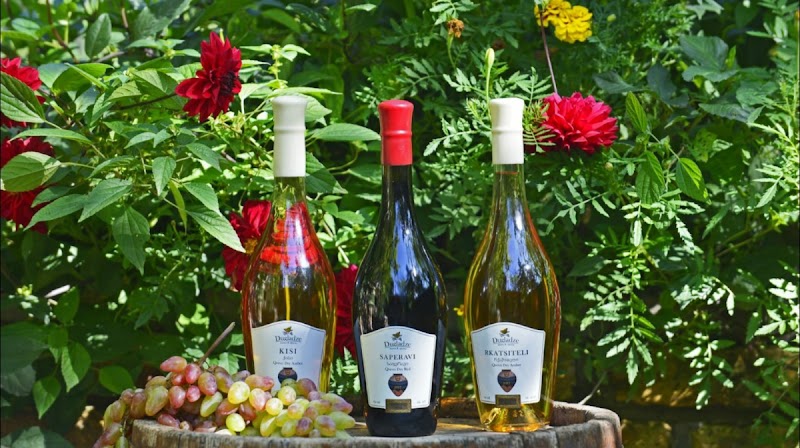 Vineria Kakheti - Vineria Kakheti Tokhliauri, Sagaredzho 3805, Georgia