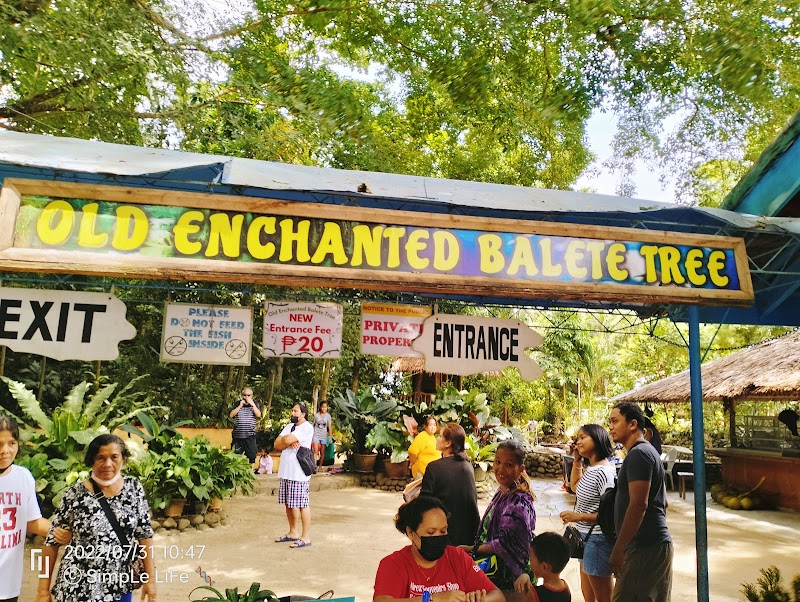 Old Enchanted Balete Tree - Old Enchanted Balete Tree, Siquijor Circumferential Rd, Lazi, Siquijor, Philippines