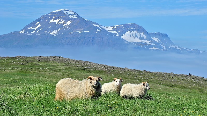 Sæberg, Old School in Eyrar - Sæberg, Old School in Eyrar 74RP+843, Hafnargata, 710 Seyðisfjörður, Iceland
