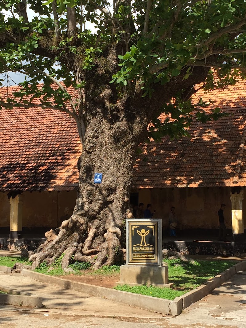 Con Son Island - Con Son Island, Ho Chi Minh, Vietnam