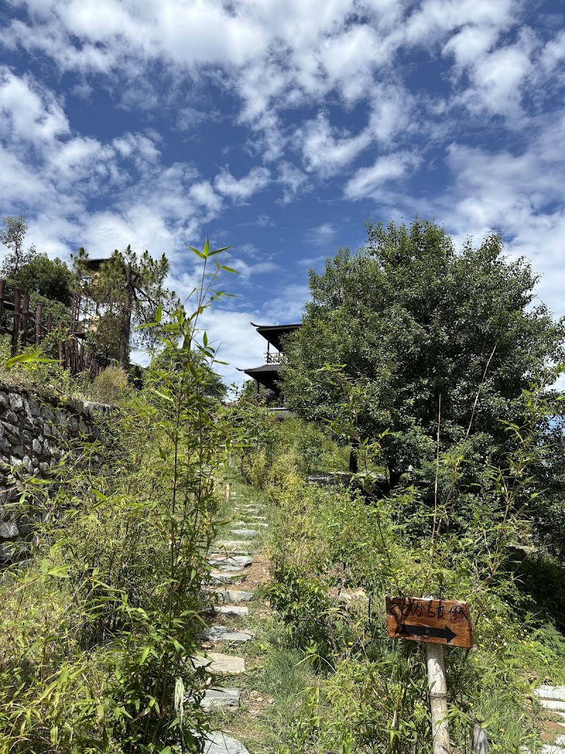 The Wild Sakura - The Wild Sakura, Tranquility Heights Rd, Mukteshwar, South Gola Range, Uttarakhand 263132, India